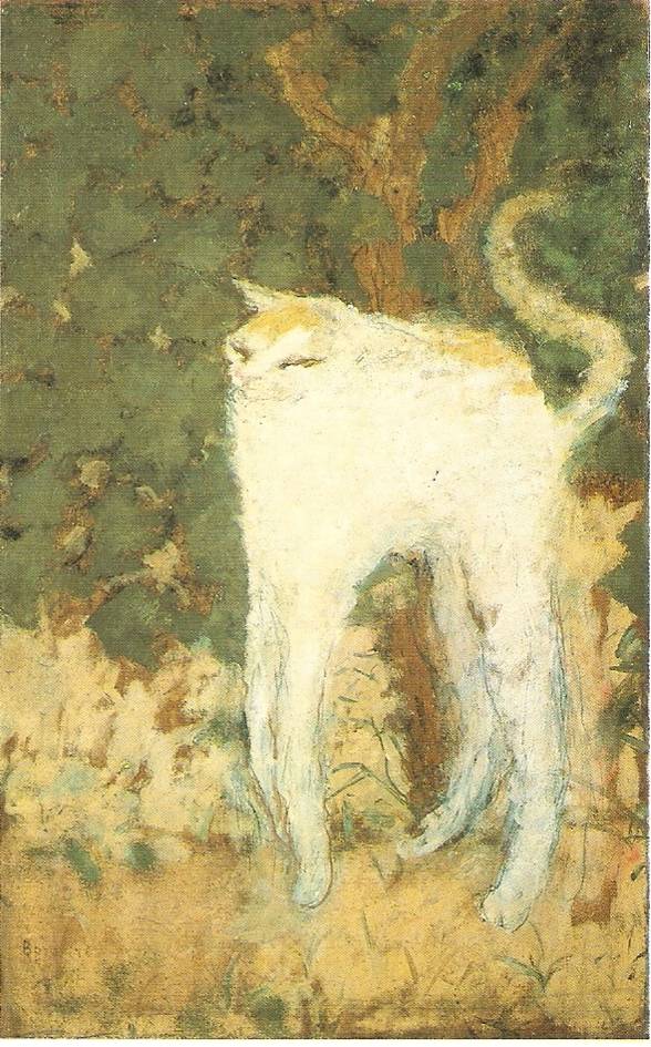 bonnard-chat (1)